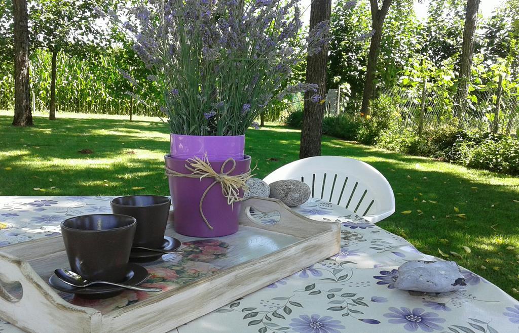 B&B Borgo Arcadia Poiana Maggiore Exterior foto
